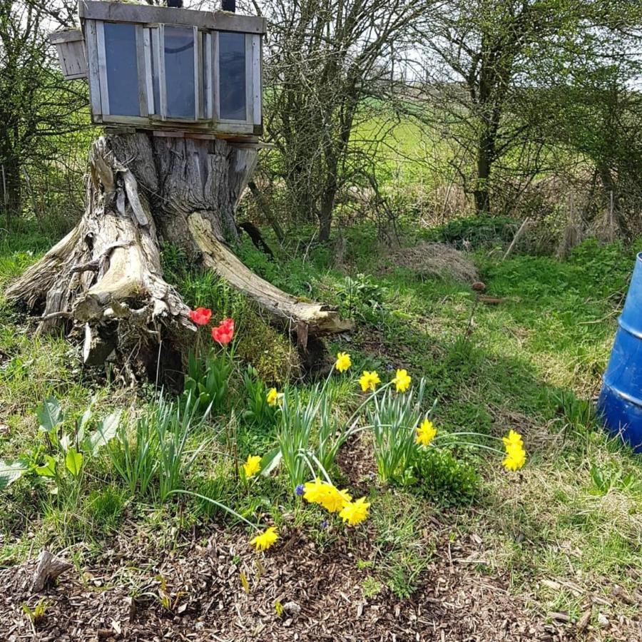 Romantic Escape Luxury Hobbit House With Hot Tub! Sheerness Bagian luar foto